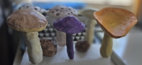 Mushrooms made for Heritage Thursday